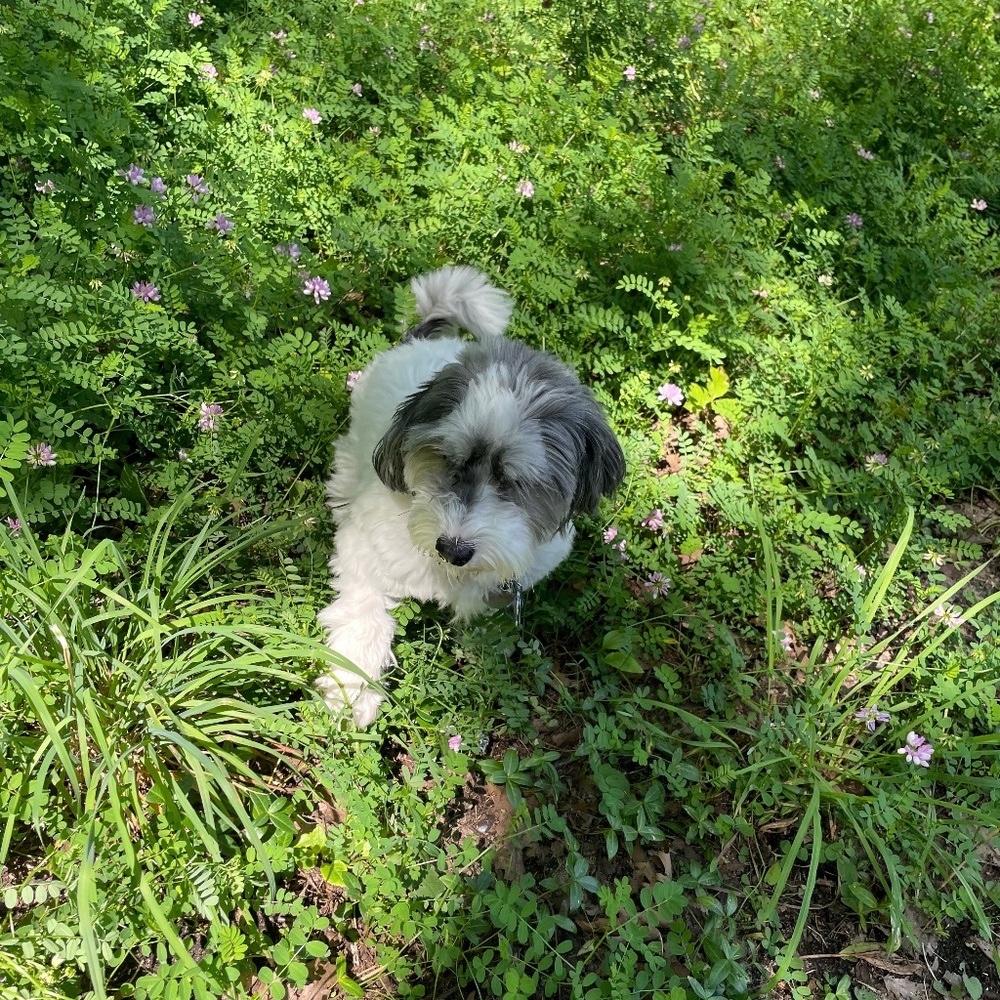 Meet your Posher, Claire